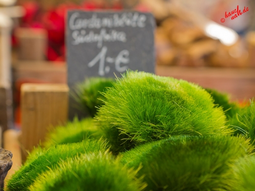 Details - Bauernmarkt im Freilichtmuseum Lindlar /Foto: Stefan Schmidt Details - Bauernmarkt im Freilichtmuseum Lindlar /Foto: Stefan Schmidt