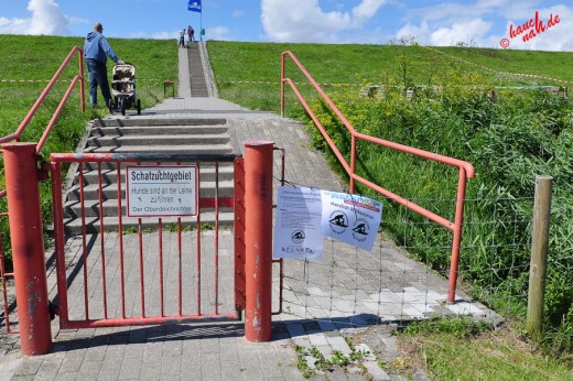 Trockenstrand Upleward - Blick Richtung Meer