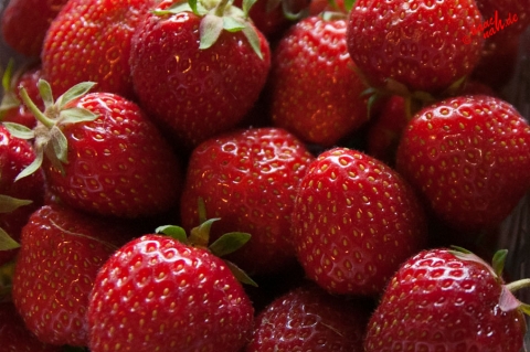 Erdbeeren Erdbeeren