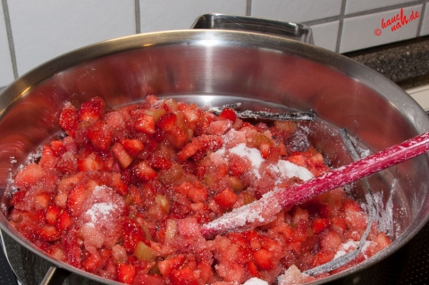 Erdbeer-Rhabarber-Vanille-Marmelade - Zutaten Erdbeer-Rhabarber-Vanille-Marmelade - Zutaten
