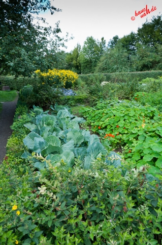 Bauerngarten im Freilichtmuseum Lindlar Bauerngarten im Freilichtmuseum Lindlar