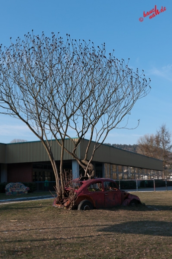 School's out - Recycling-Abitur School's out - Recycling-Abitur