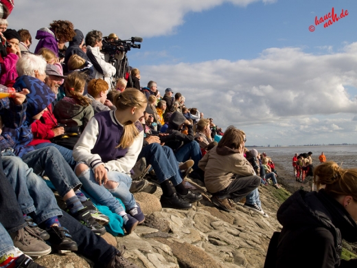 29. Schlickschlittenrennen Wältmeisterschaft - Krummhörn-Greetsiel /Foto: Stefan Schmidt 29. Schlickschlittenrennen Wältmeisterschaft - Krummhörn-Greetsiel /Foto: Stefan Schmidt