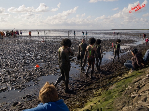29. Schlickschlittenrennen Wältmeisterschaft - Krummhörn-Greetsiel /Foto: Stefan Schmidt 29. Schlickschlittenrennen Wältmeisterschaft - Krummhörn-Greetsiel /Foto: Stefan Schmidt