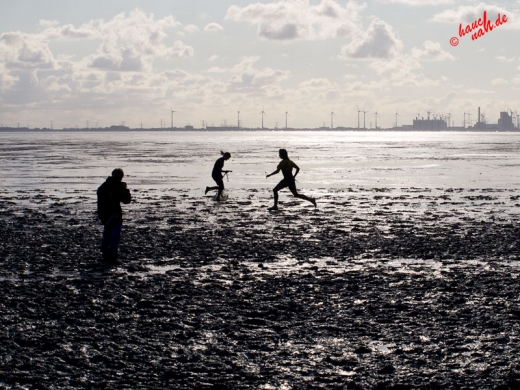 29. Schlickschlittenrennen Wältmeisterschaft - Krummhörn-Greetsiel /Foto: Stefan Schmidt 29. Schlickschlittenrennen Wältmeisterschaft - Krummhörn-Greetsiel /Foto: Stefan Schmidt