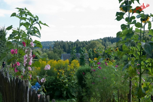 Blick übern Gartenzaun - Bergisches Freilichtmuseum Lindlar Blick übern Gartenzaun - Bergisches Freilichtmuseum Lindlar