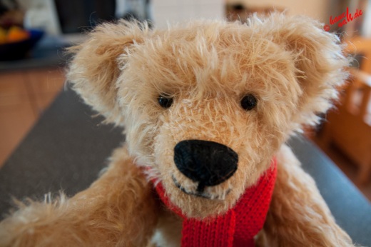 Mein neuer Kumpel - Teddy