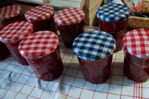 Erdbeer-Rhabarber-Vanille-Marmelade - im Glas